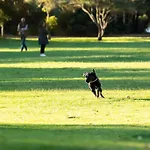 Albert Park Bayside Brilliance Grhm